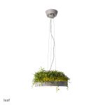 LC3135GY,LC3135BK,LC3135GR