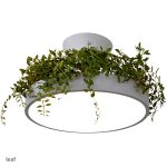 LC3135GY,LC3135BK,LC3135GR